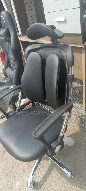 Executive Kidney Chair