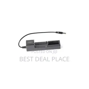 Lithium Battery USB Charger