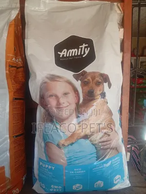 Amity Puppy