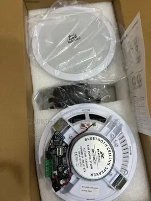 Ceiling Speaker. Double Bluetooth