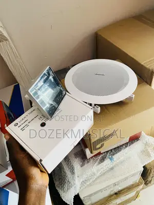 Ceiling Speaker and Amplifier