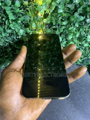 Apple iPhone 14 Pro Max 128 GB Gold