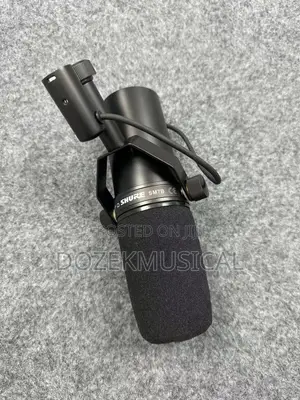 Shure Sm7b Studio Microphone