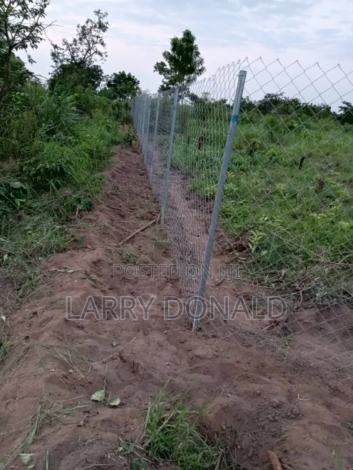 Fencing Wire Mesh Galvanized