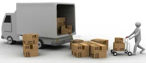 Duboyi Moving Services