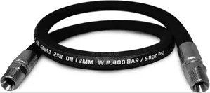 High Pressure Hose for Gas