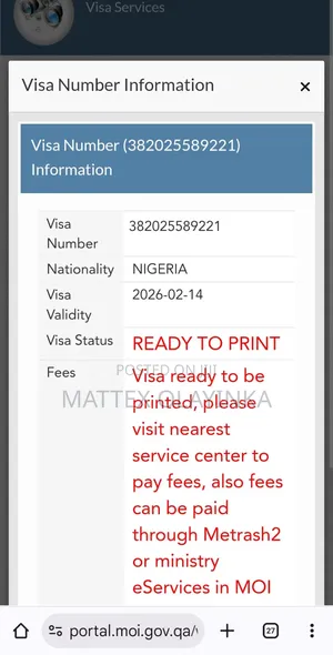 Qatar 2 Years Freelance Visa