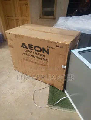 Aeon 300l Freezer for Frozen Food Business