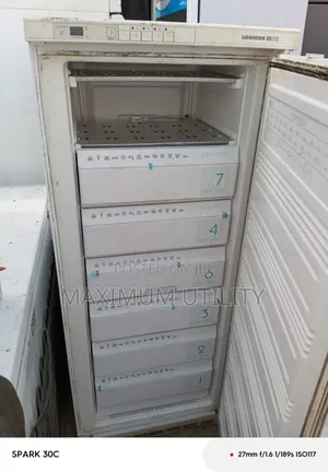 Libhere German 7 Steps Upright Freezer