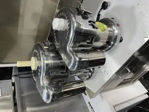 Commercial Juice Extractor