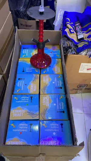 Quality Double Hose Acrylic Shisha Hookah Pot
