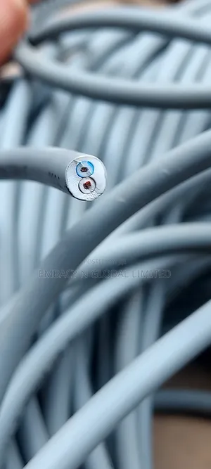 1mm 2core Flexible Nigeria Cable