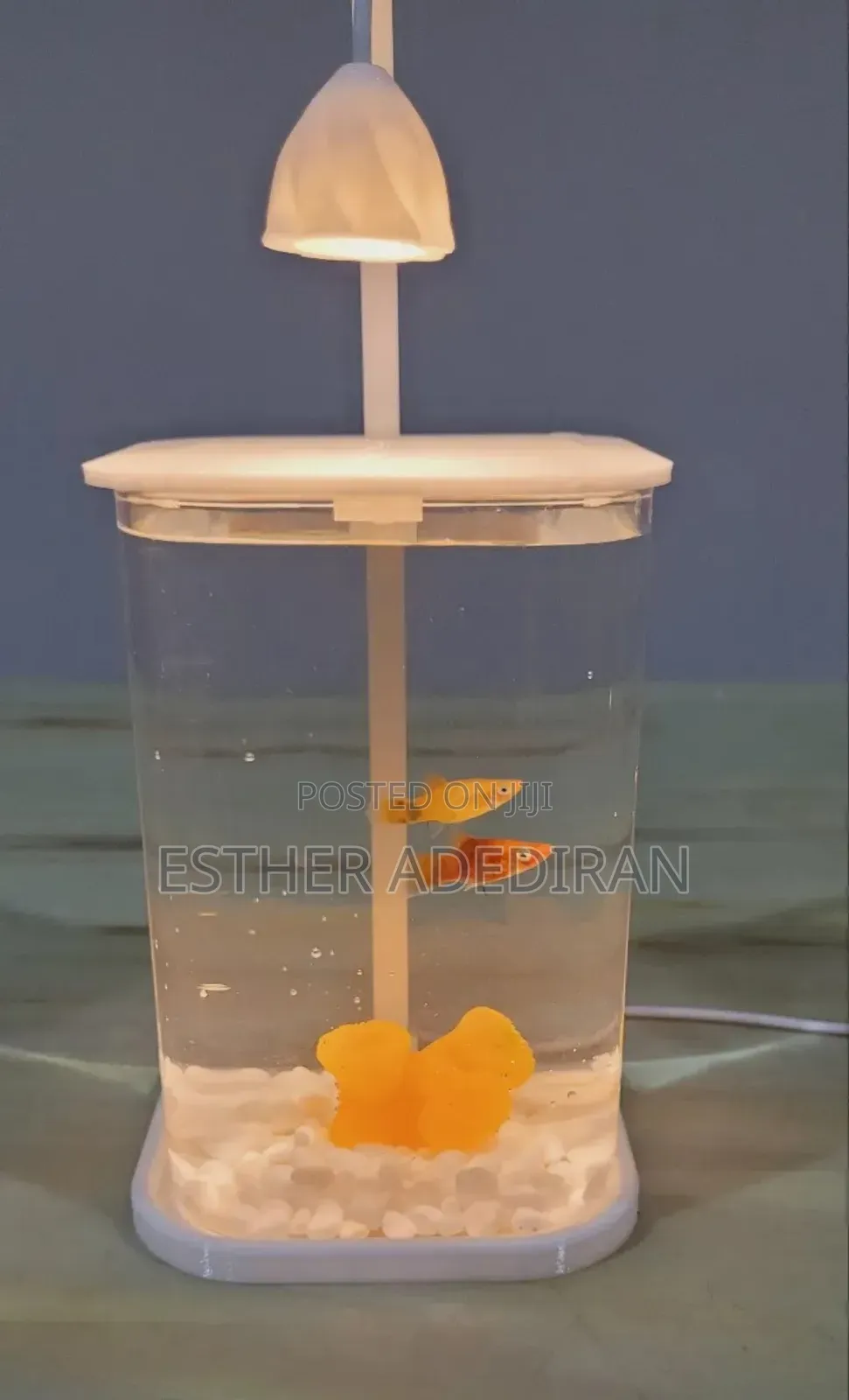 Mini Aquarium With Light