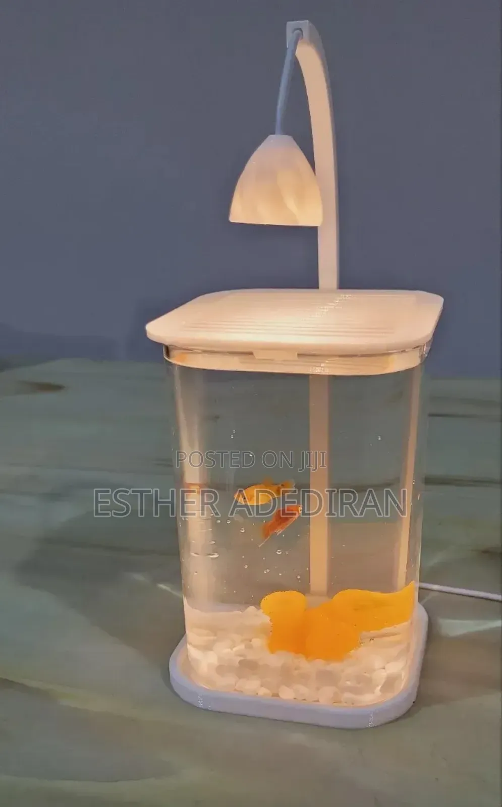 Mini Aquarium With Light