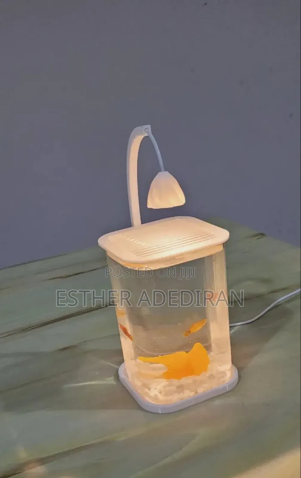 Mini Aquarium With Light
