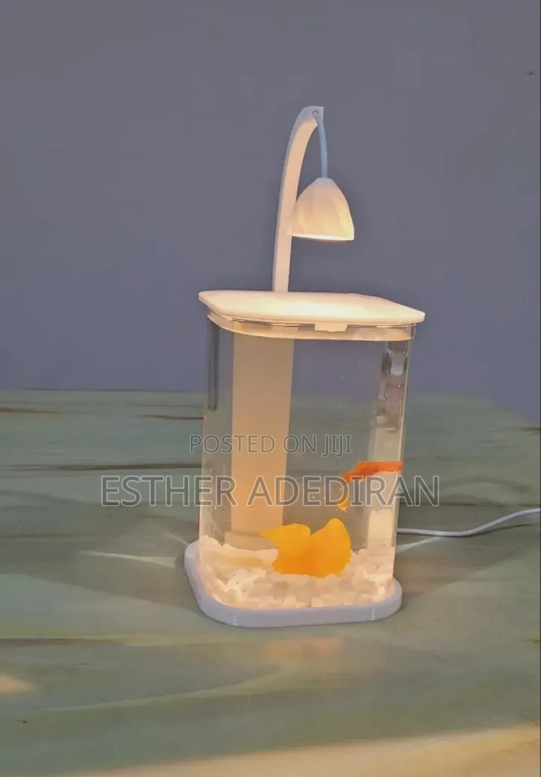 Mini Aquarium With Light