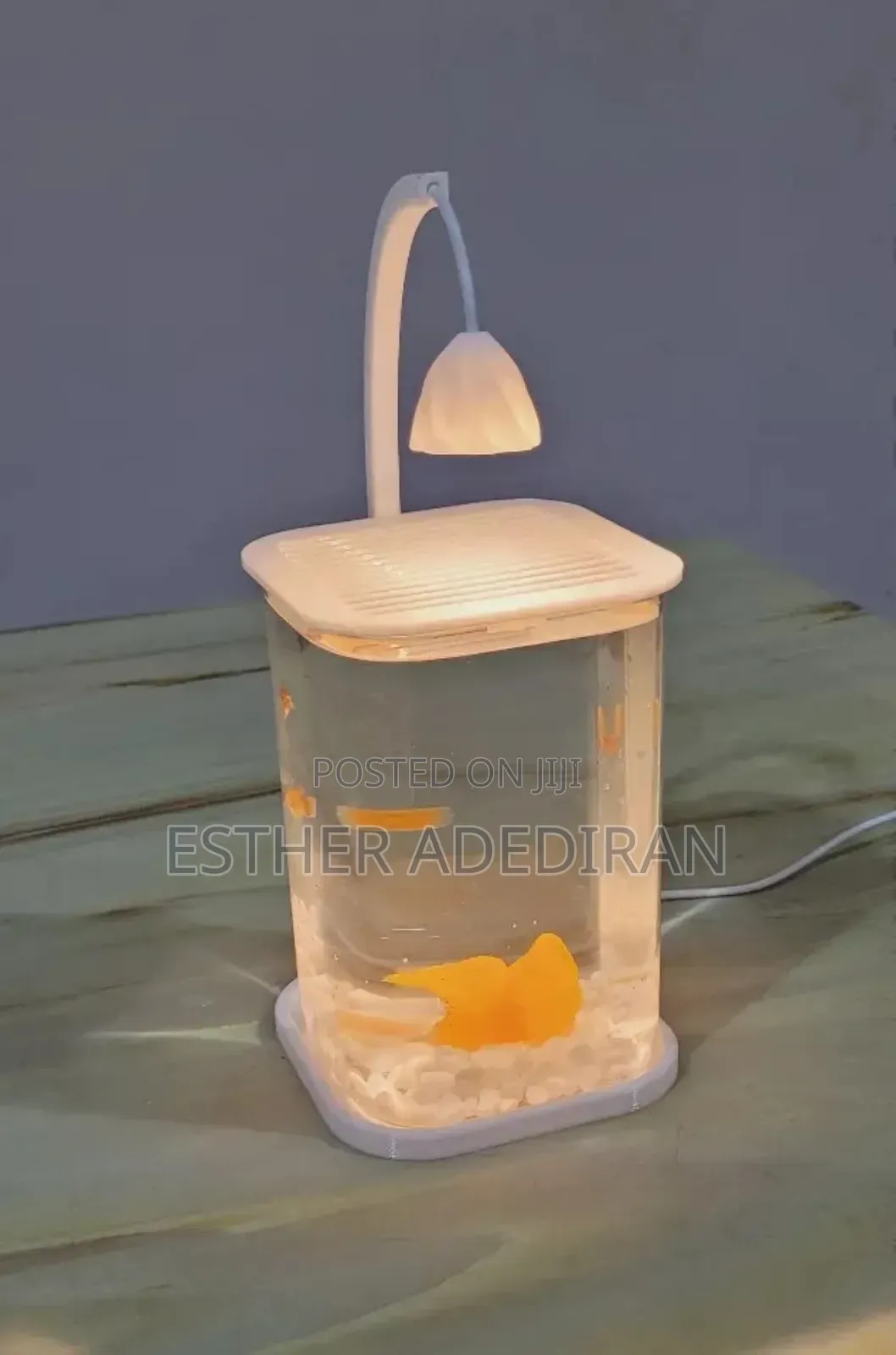 Mini Aquarium With Light