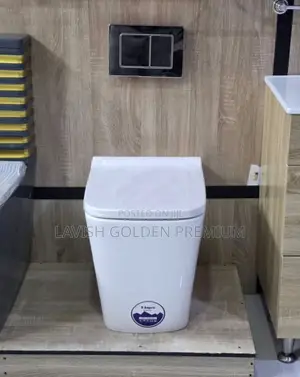 Floor Conceal Water Closet Set