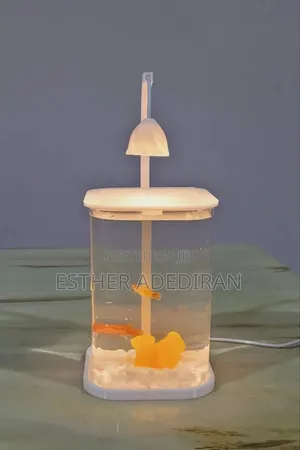 Mini Aquarium With Light