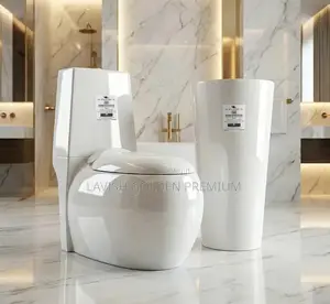 Executive Modern England White Water Closet Set With Standing Basin