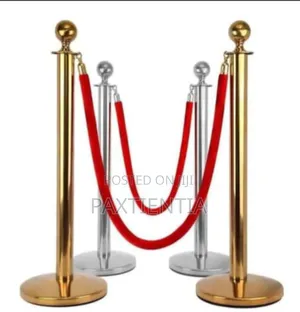 Stanchion/Line Divider With Silver Stand