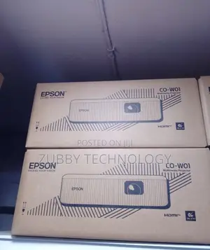 Epson Co-Wo1 3000lumen