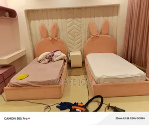 Professional Sofa and Bed Cleaning