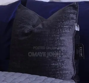 Professional Sofa and Bed Cleaning