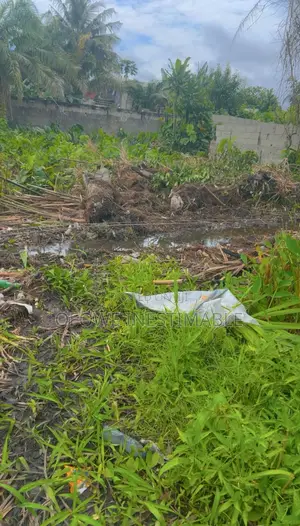 Half Plot of Land