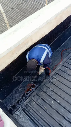 Elected Roof Waterproofing Expert