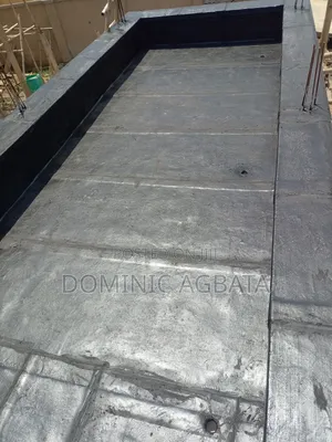 Mindwandering Waterproofing Expert
