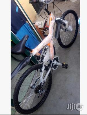 Sports Bicycle Adult