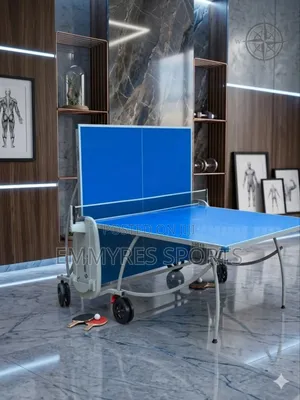 “Outdoor Waterproof Table Tennis Board