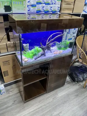 Ready Made Aquarium