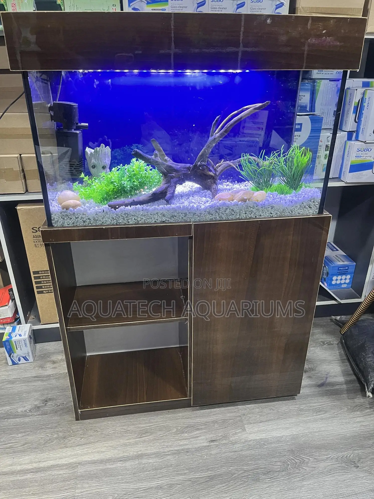 Ready Made Aquarium