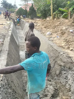Trapedsodia Drainage