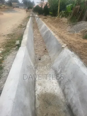 Trapedsodia Drainage