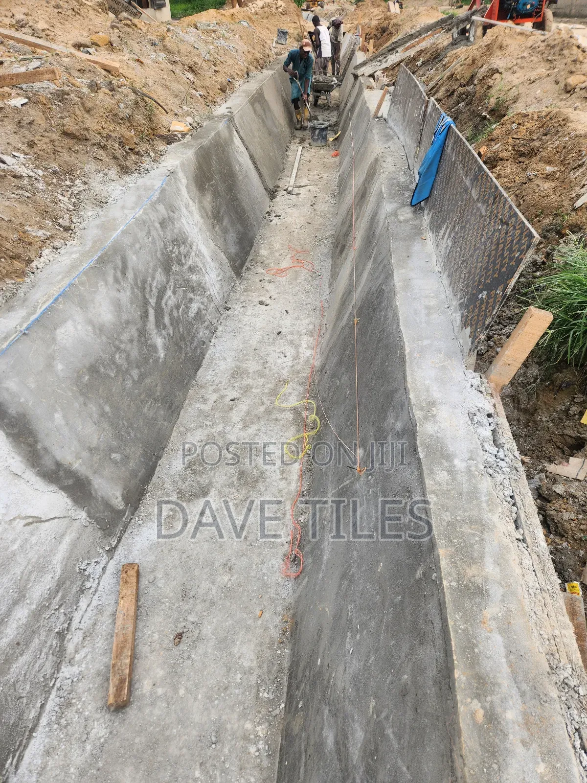 Trapedsodia Drainage