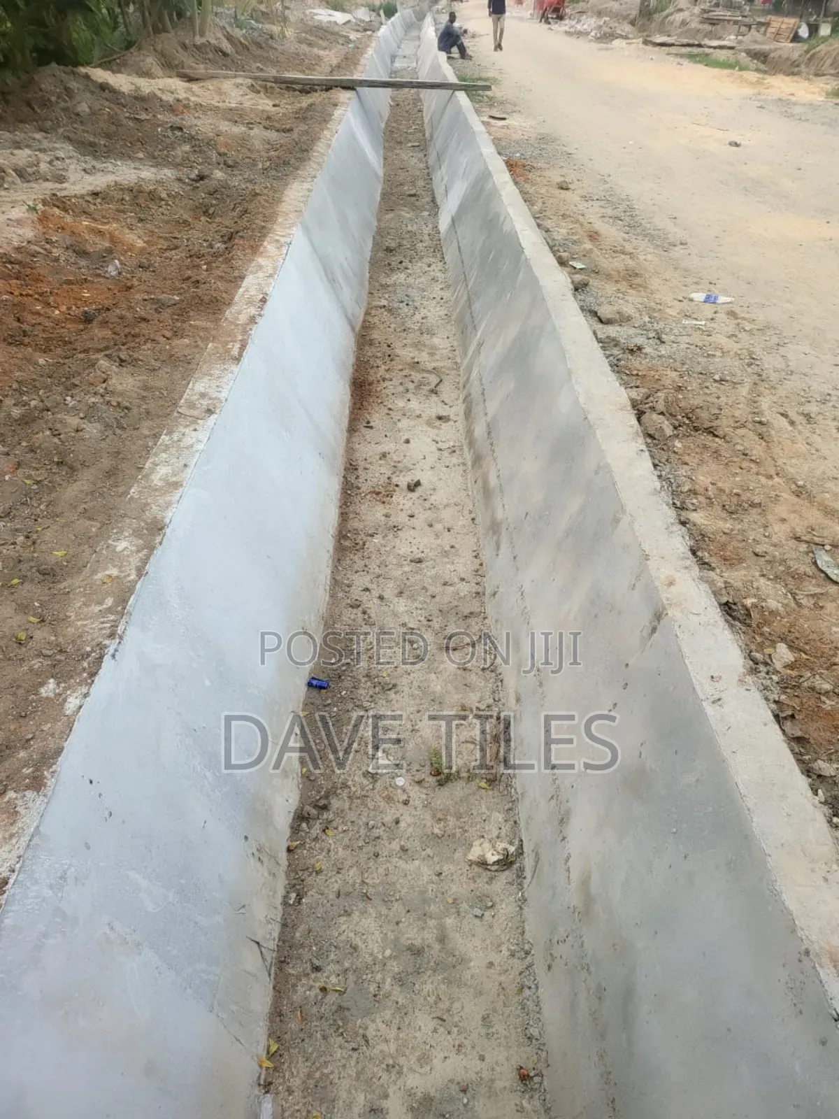 Trapedsodia Drainage