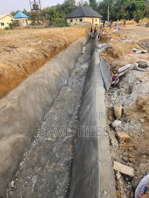 Trapedsodia Drainage