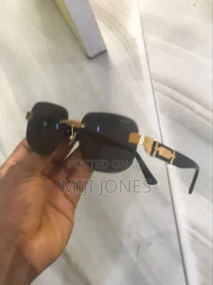 "Hermes Crested Inspiration Shades"