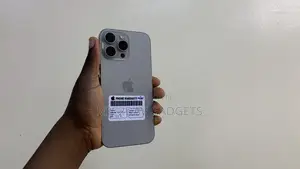 Apple iPhone 16 Pro Max 256 GB Gray