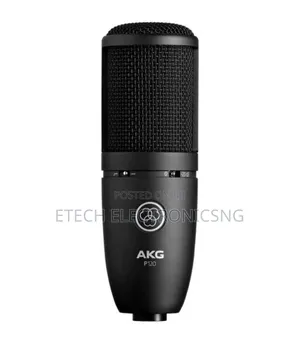 Akg P120 High-Performance General Purpose Recording Microphone
