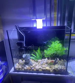 Table Top Aquarium