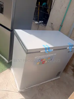 Skyrun Chest Freezer 200a – Efficient Storage