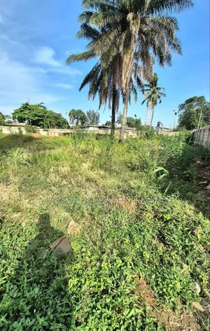Certificate of Occupancy
