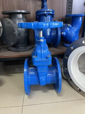 Iron Flange Gate Valve