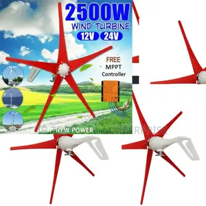 Buy 2500w 12v/24v/48v Horizontal Wind Turbine Energy Independence