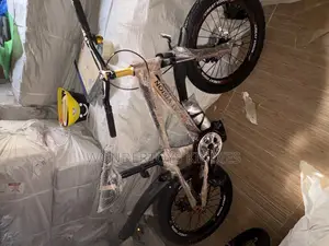 Size 20 Great Vision Bicycle