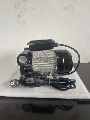Electric Diesel Fuel Transfer Pump: Model: Dyb-80, Ac220v